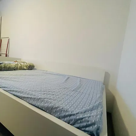 Pegassus Homes Проживание в семье *