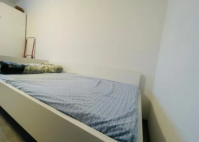 Pegassus Homes Проживание в семье *